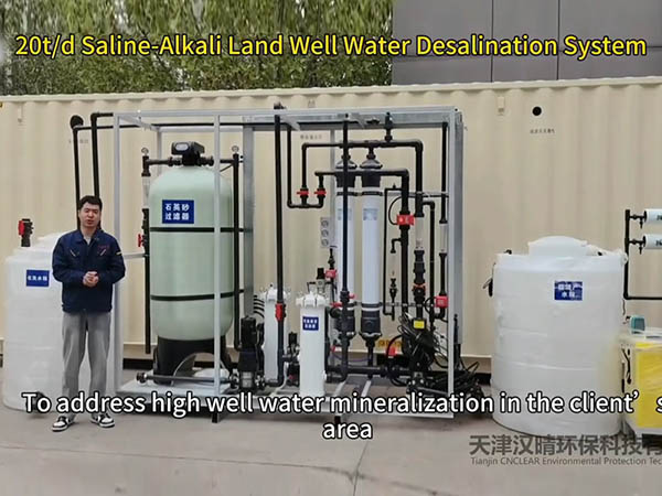 20t/d Saline-Alkali Land Well Water Desalination System